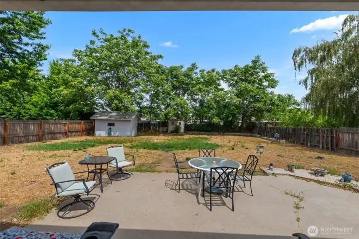 Backyard Patio