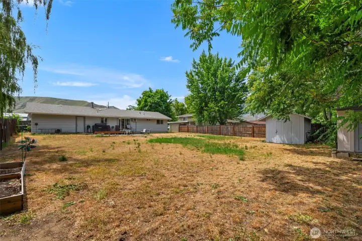 Large Backyard 1