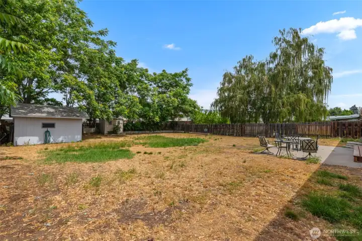 Large Backyard 2
