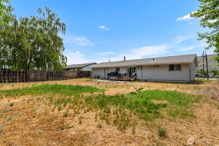 Large Backyard 3