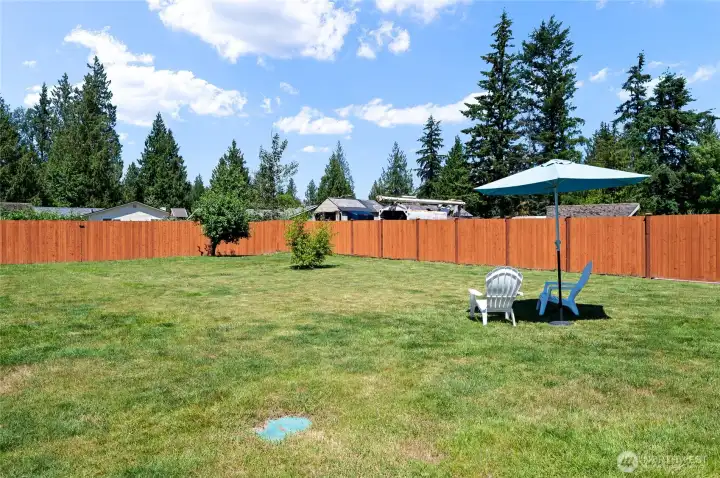 Backyard - Fully Fenced Backyard - Fully Fenced
