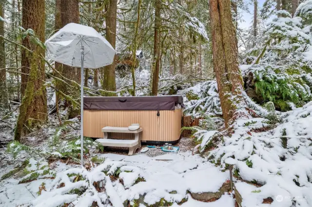 Jacuzzi Hot Tub