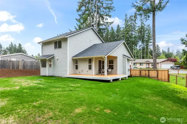 LARGE backyard