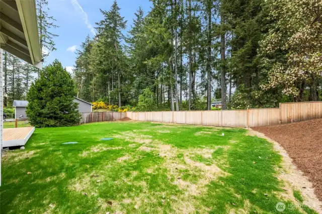 fully fenced backyard