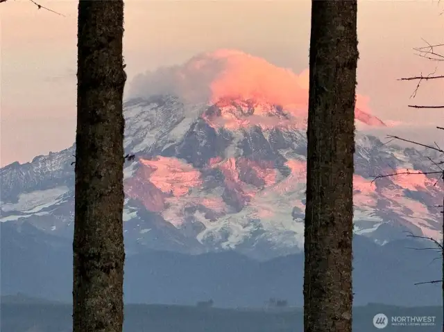Enjoy the varied appearances of Mt. Rainier throughout the seasons