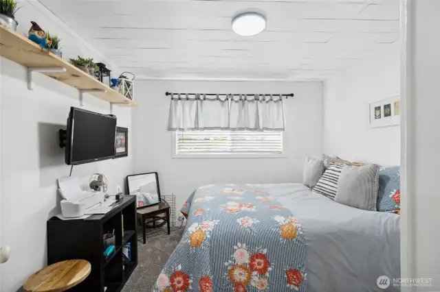 Downstairs bedroom #1