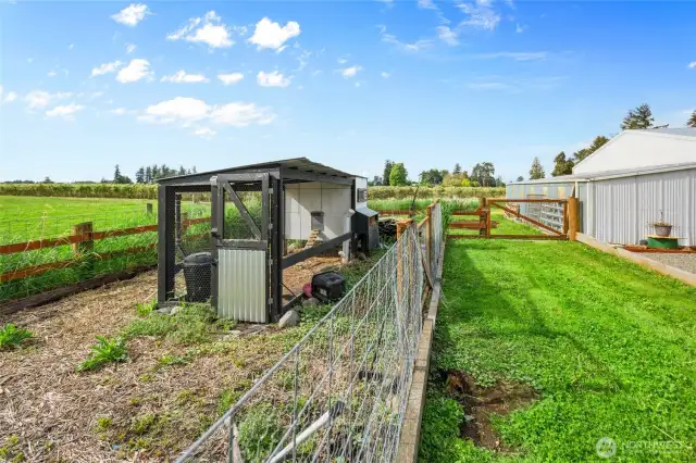 chicken coop and chicken run