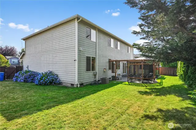 Large yard
