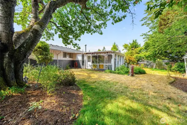 Multiple fruit trees provide beauty, shade, and seasonal harvests right in your own yard.