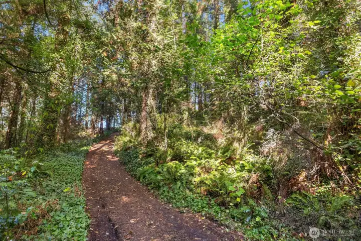Beautifully treed property