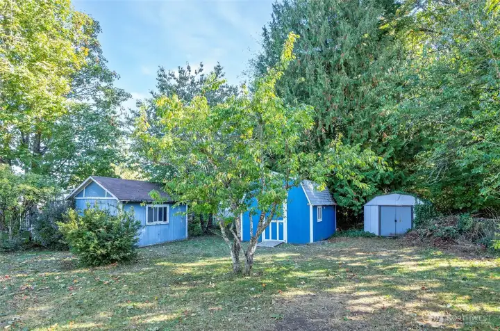 Backyard and outbuilds highlighted from another angle, emphasizing space and functionality.