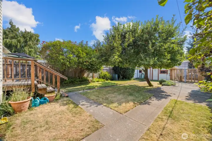 Looking from the wet to the east across the rear yard.