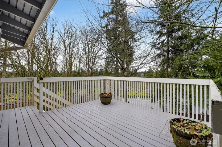 Large Deck Overlooks Nearby Park