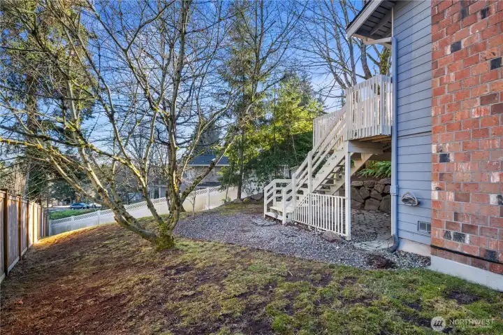 Professional Landscaping