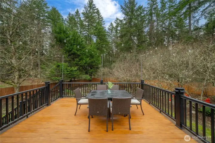 Deck off dining room - when the leaves fill in you feel like you're in a treehouse!