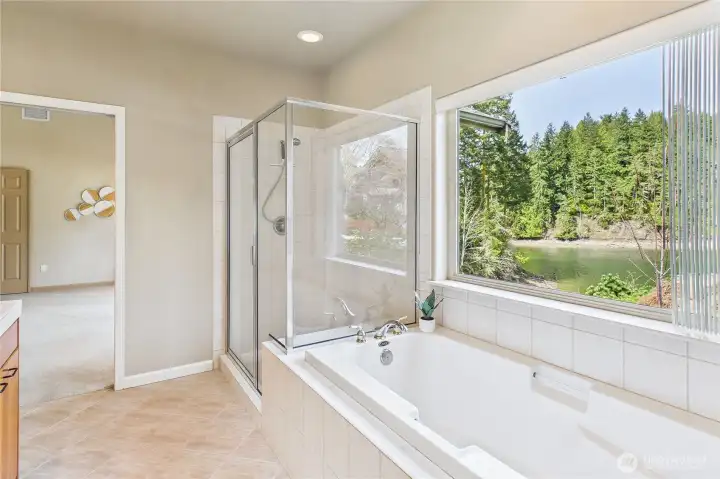 Even the primary bath has a view!
