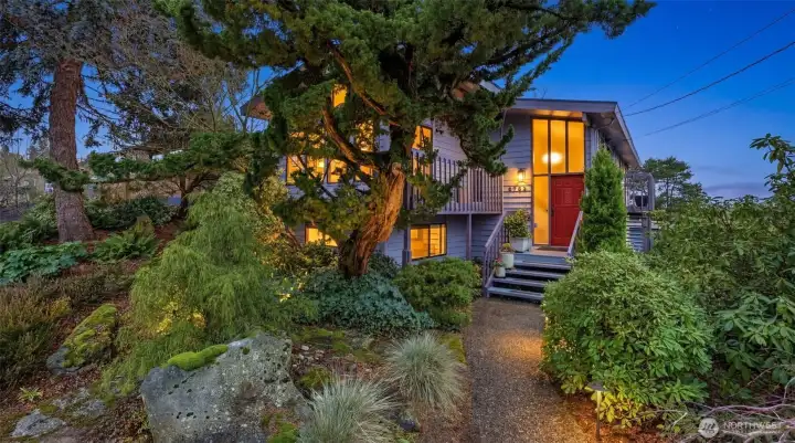 Twilight view. Established landscaping frames the entry.