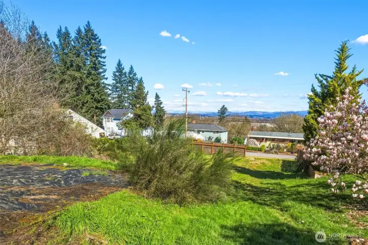 On-site view showing natural terrain and usable land space