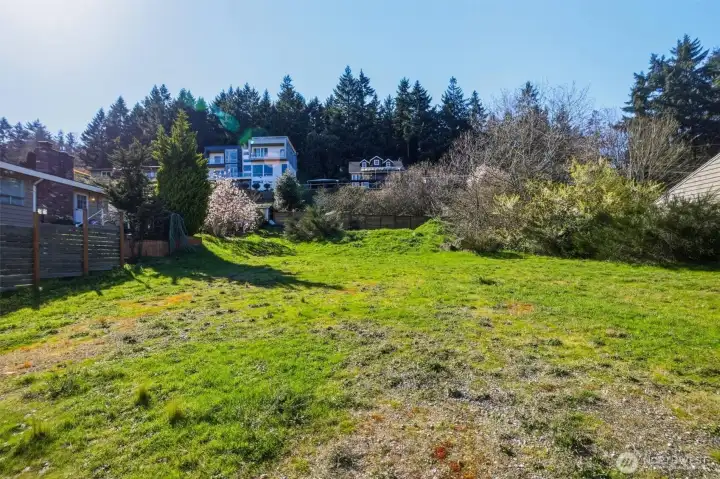 Detailed ground shot of land surface.