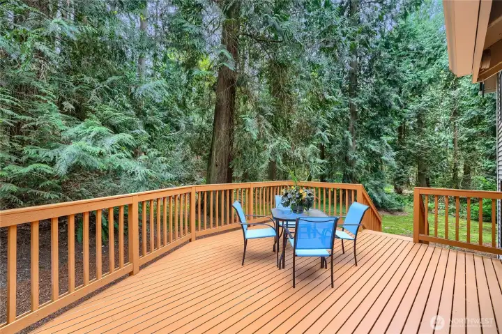 Nice entertainment size deck.