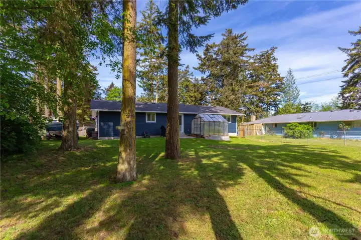 Back of home looking from large yard thru trees