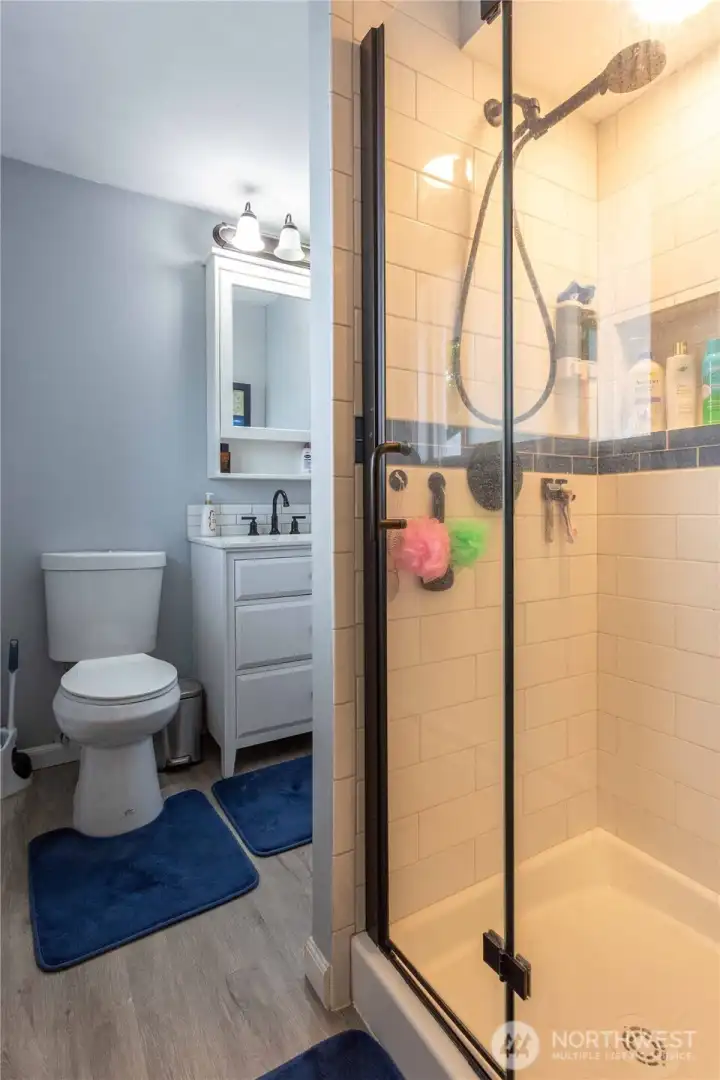 Primary ensuite bath 2
