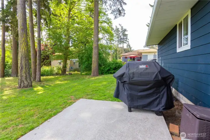 Rear patio and yard