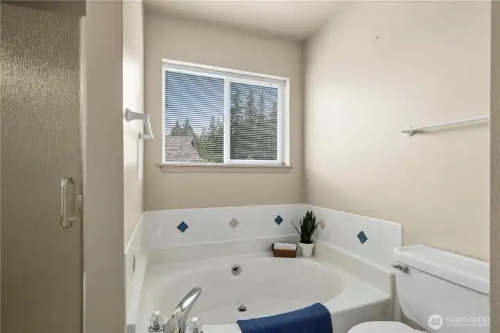 Primary bathroom luxurious tub! Primary bathroom luxurious tub!
