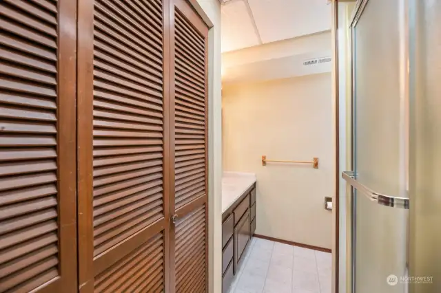 Lower level bathroom