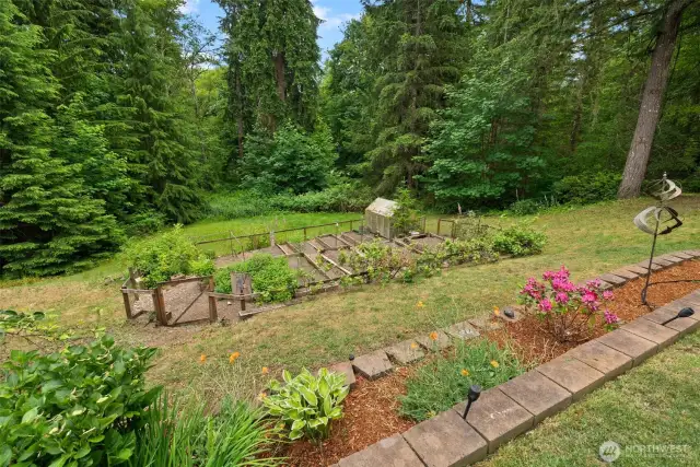 Garden beds and trees