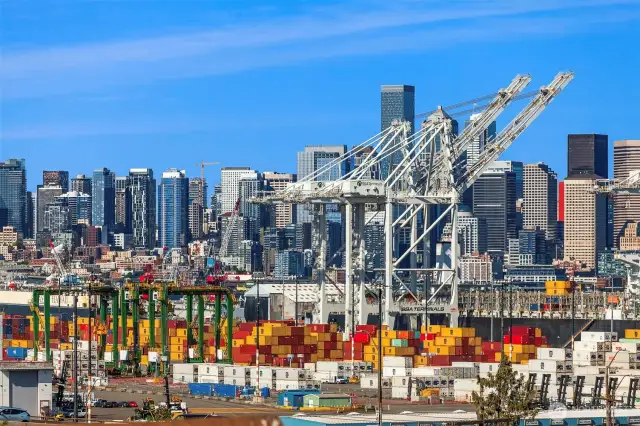 Yes yes yes. This is such an iconic view of Seattle!