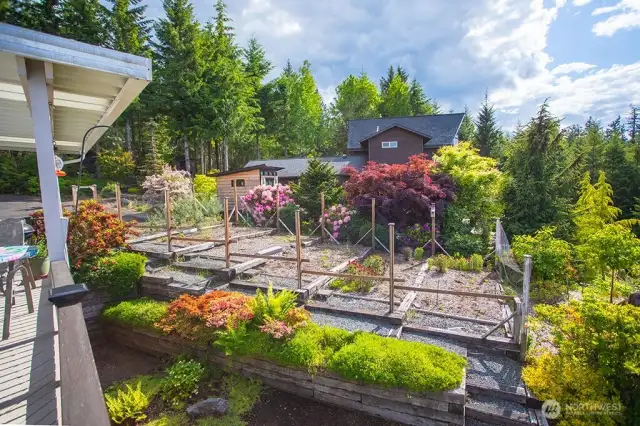 garden area