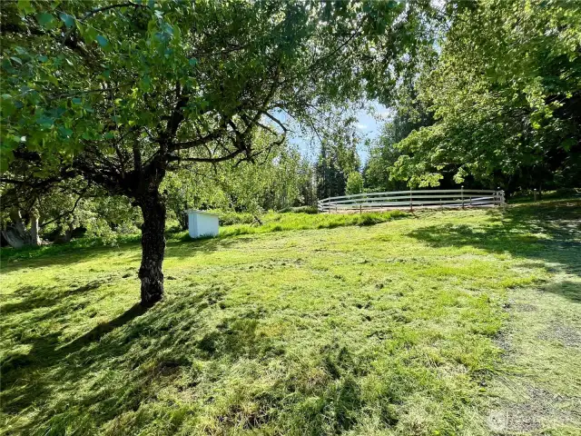 Charming front yard framed by a beautiful tree and fenced corral just beyond.