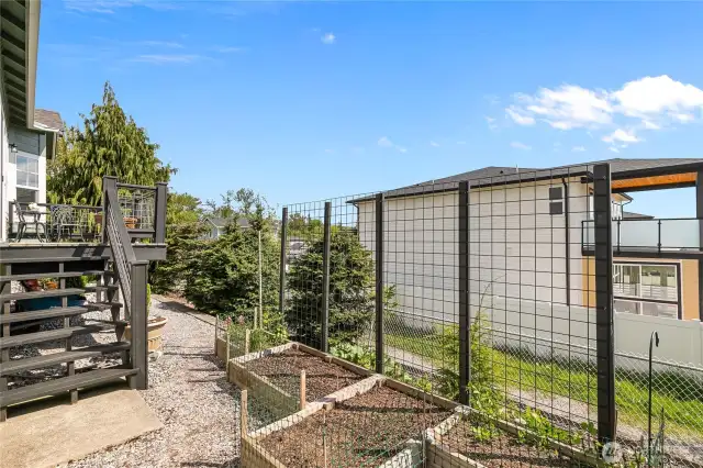 Back yard