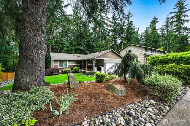 Move-in ready to be your new home.
