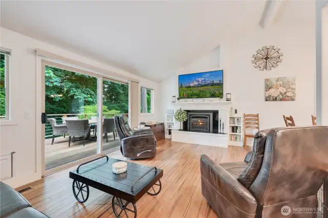 Natural gas fireplace.
