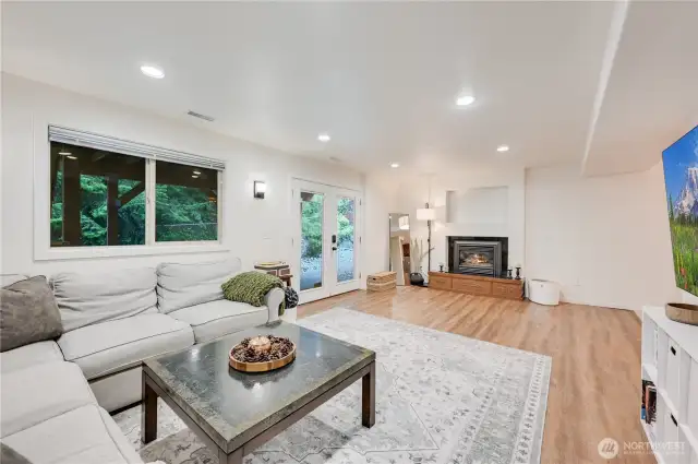 Natural gas fireplace.