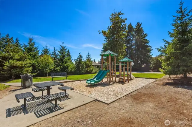 Community Park