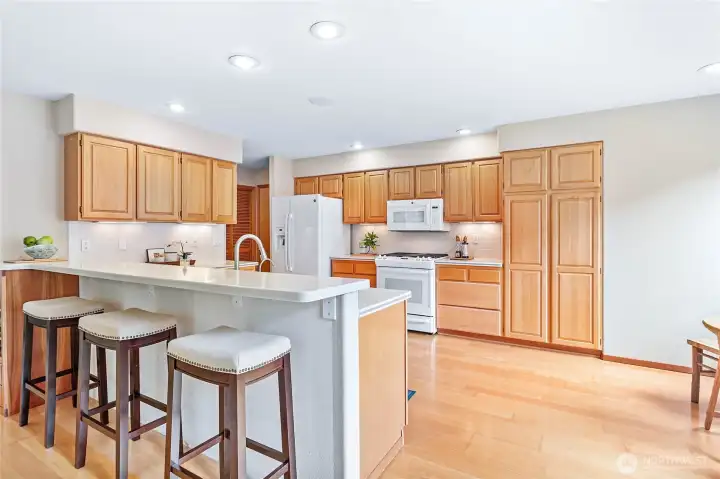 Open kitchen with lots of cabinet and countertop space.