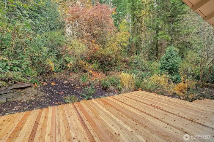 New deck off back of the house.