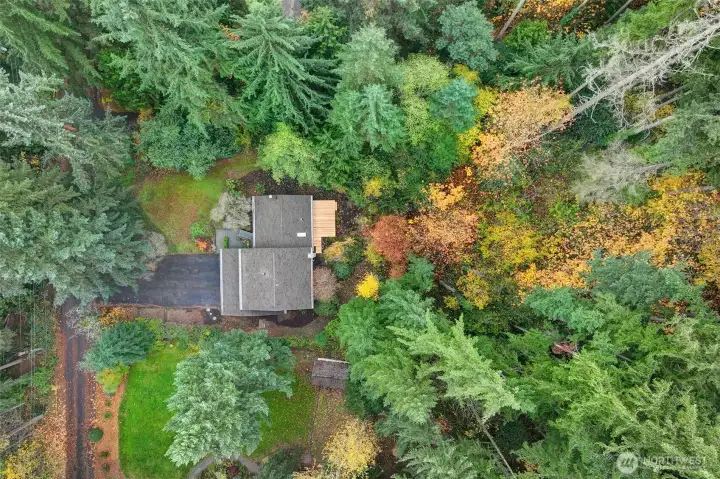 Aerial view of 1.15 acre lot.