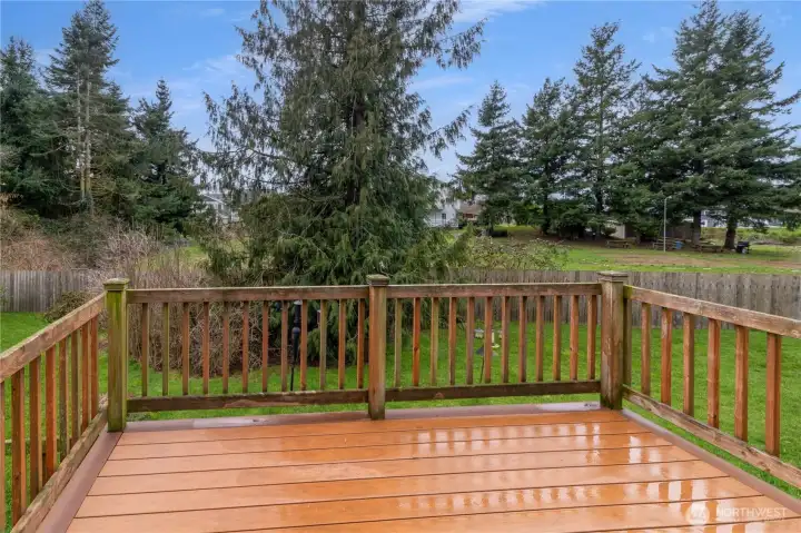 Elevated deck w/ views of the spacious yard & surrounding greenery.