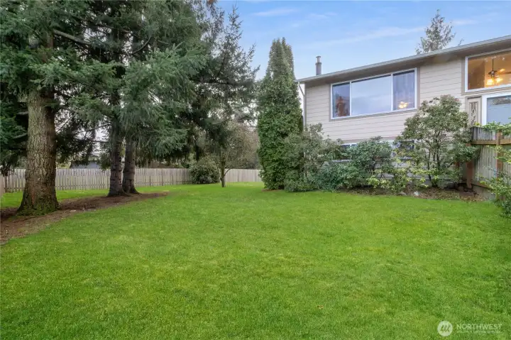 Side yard space bordered by mature trees & fencing.