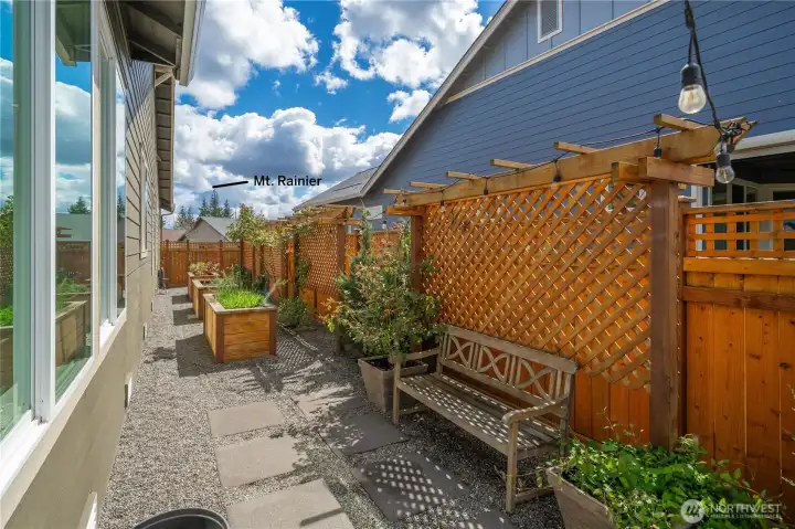 Irrigated, raised beds w/ organic soil, three trellises, mature roses and plantings/flowers. Spring blooms will be amazing with Mt. Rainier as your backdrop!