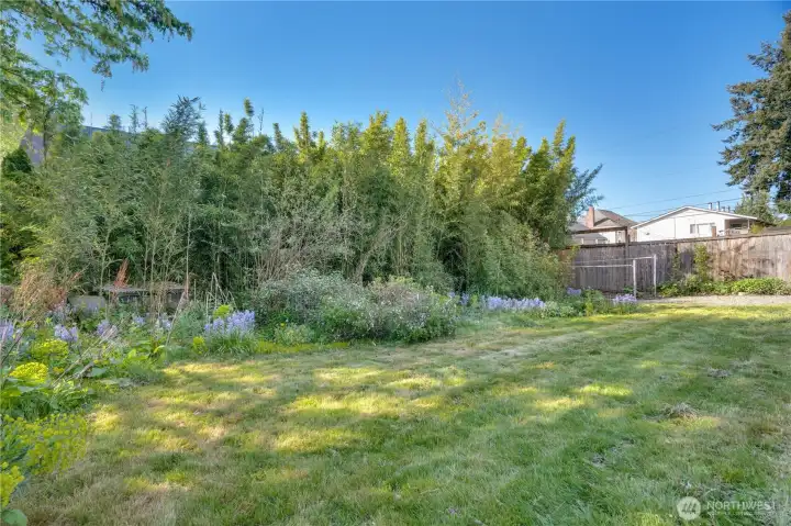 A back lawn and garden sit down below the sidewalk level.