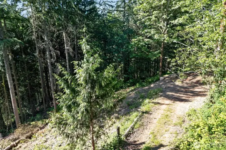 Driveway access