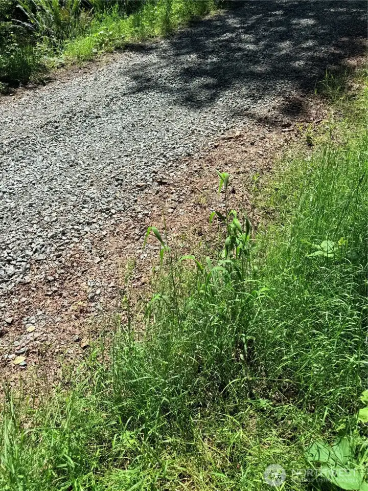 HOA is for road maintenance only