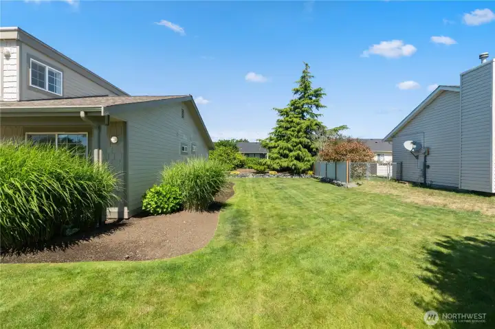 Side yard