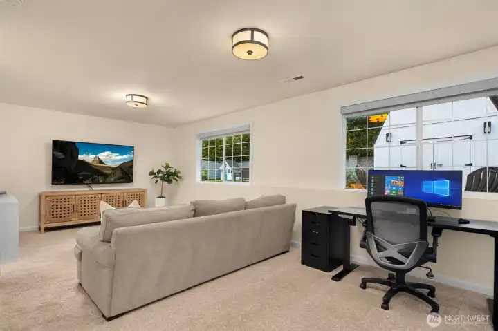 Lower level rec room
