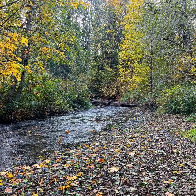 Little Quilcene River.